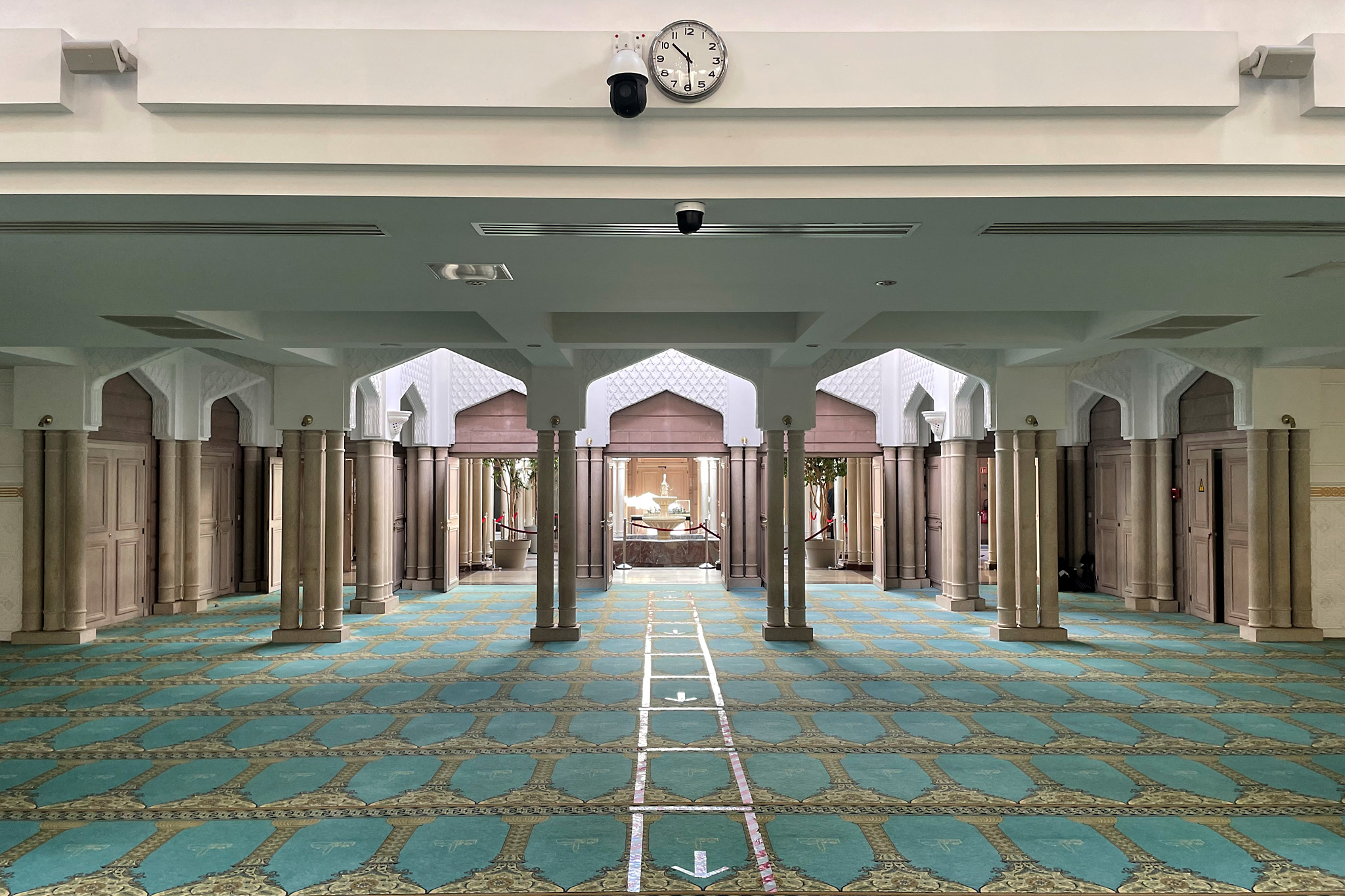 Grande Monsqué De Lyon