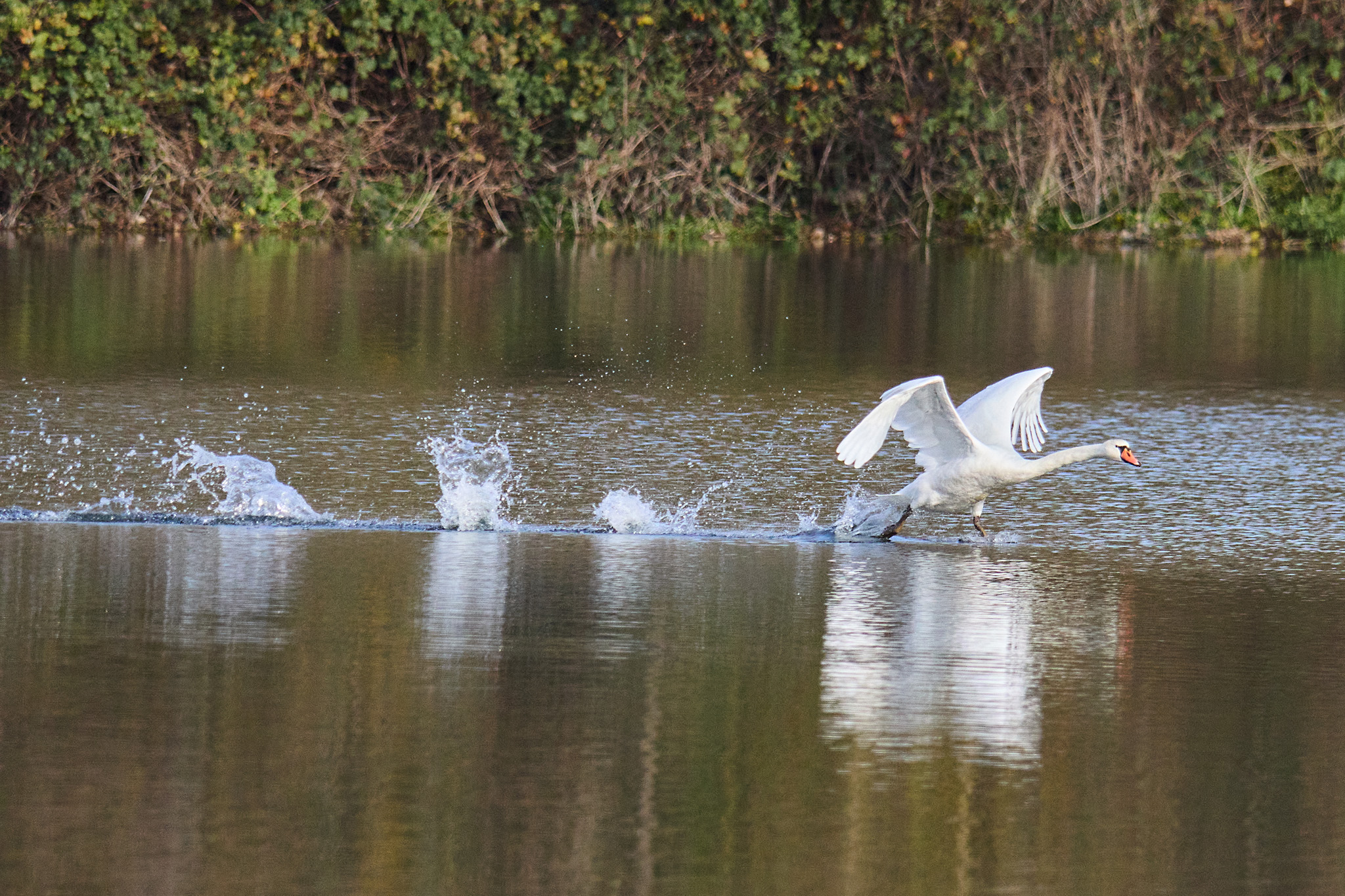 BA0426E9 EDDC 4724 9F29 CA5407648842